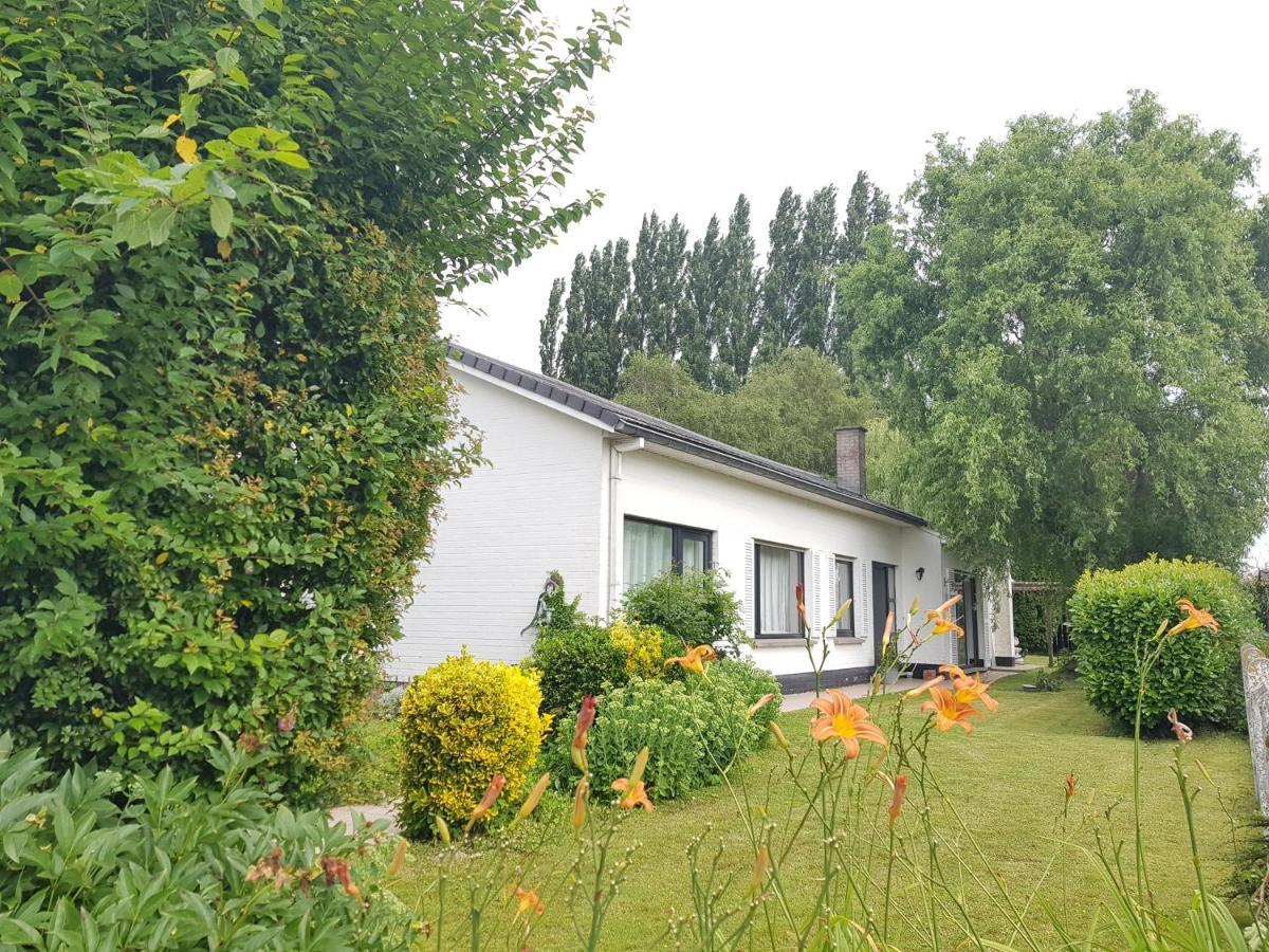 Mary'S Poppies - Bed & Breakfast Blandain Exterior foto
